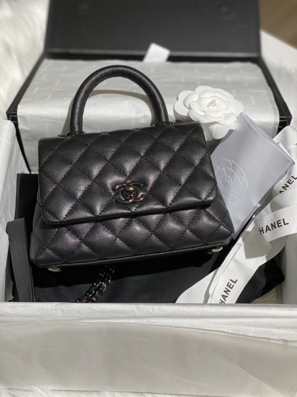 Túi Chanel Coco Handle Bag